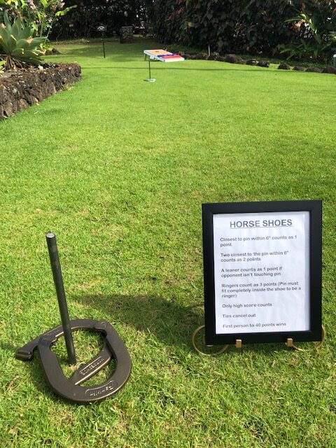 Horseshoes Rules, Horseshoes Instructions, Yard Games, Outdoor Game,  Horseshoes Sign, Outdoor Party Game, Backyard Game, Wedding Lawn Game 